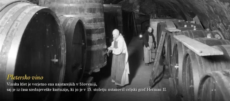 Kvalitetno vino Dolenjska