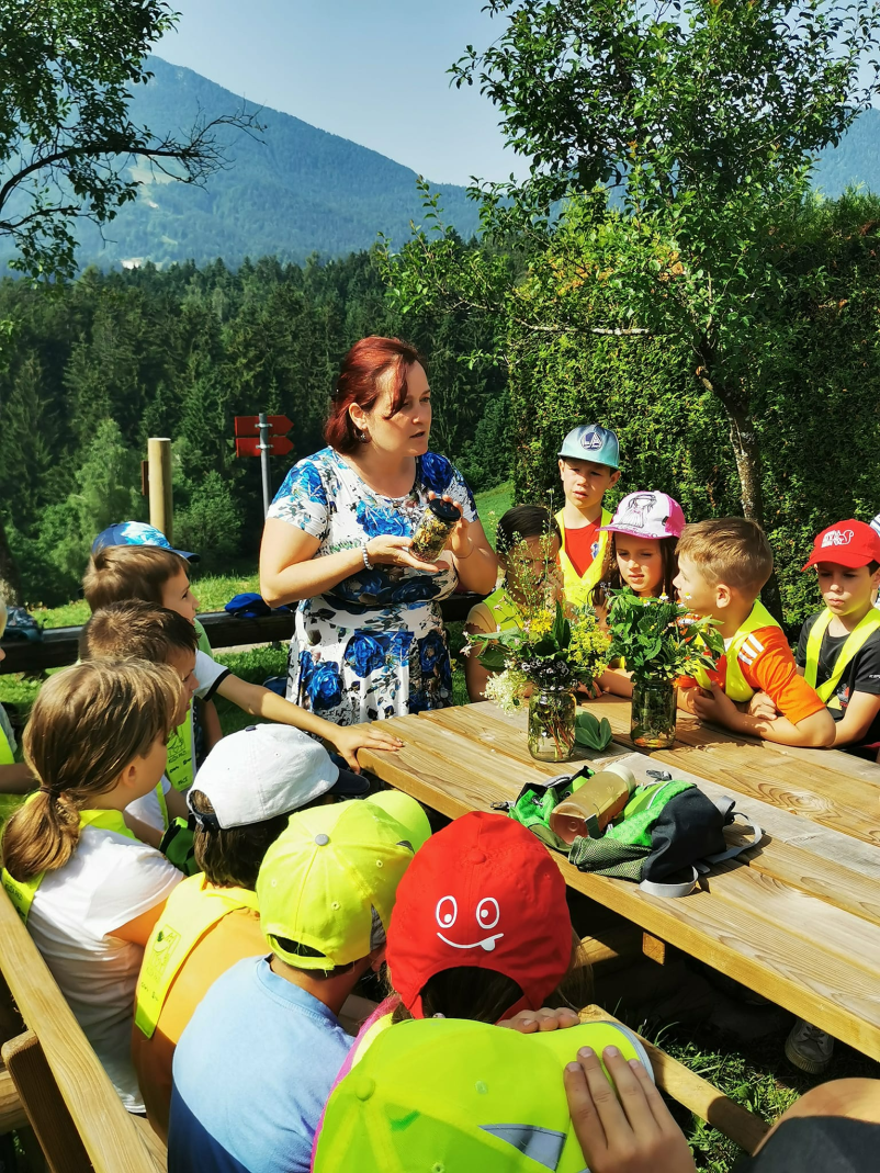 Predavanje o zeliščih in naravnih pripravkih Koroška