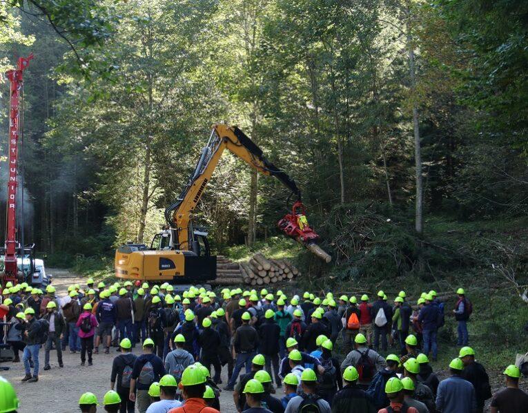 Srednja gozdarska in lesarska šola Postojna