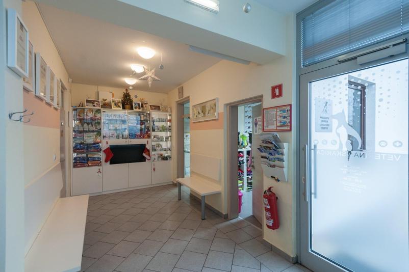Dobre veterinarske preglede v Murski Soboti izvaja Veterina Škarica