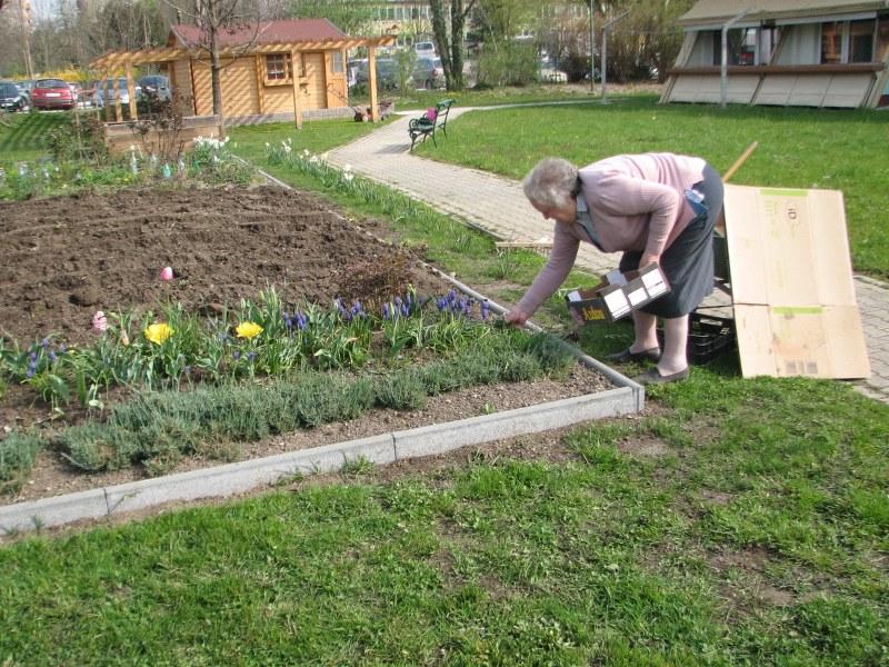Delovna terapija za starejše Domžale