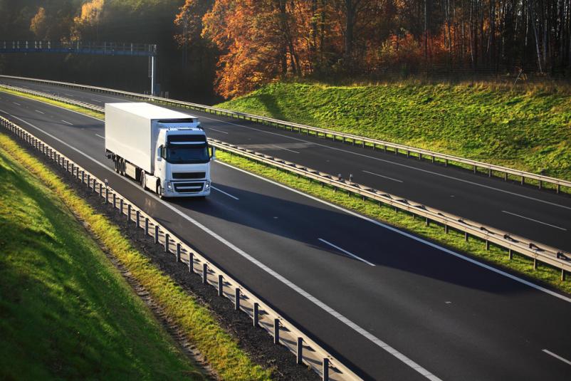 Za domače kamionske prevoze tovora smo v Sloveniji prava izbira