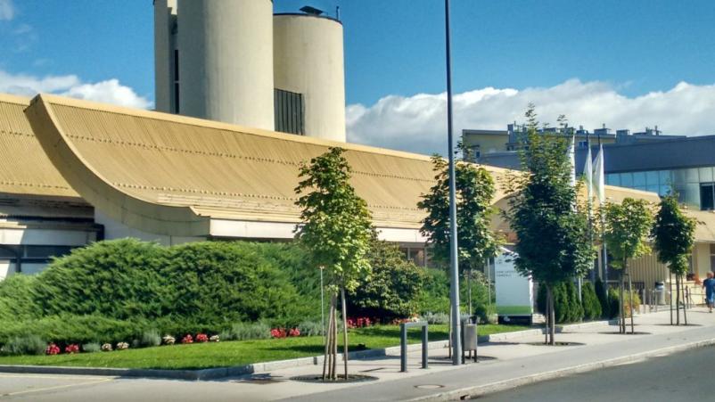 Fizioterapija za starejše Domžale