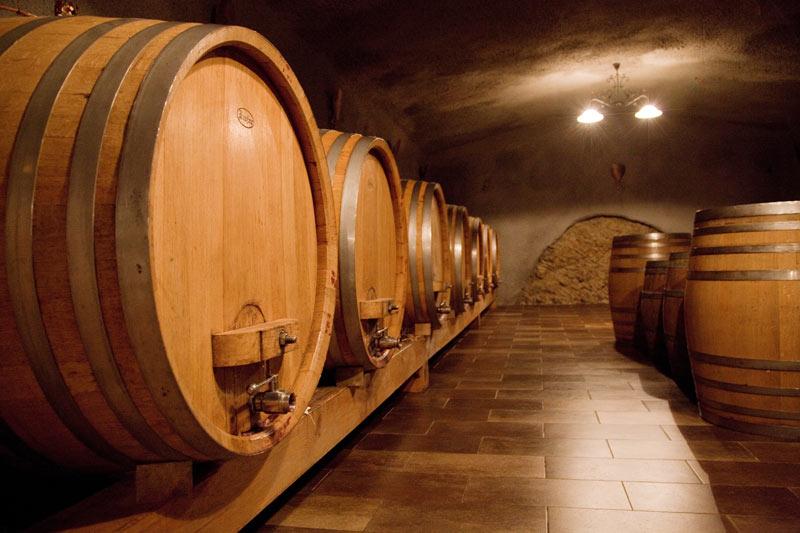 Mastnak and Frelih winery Posavje, Slovenia