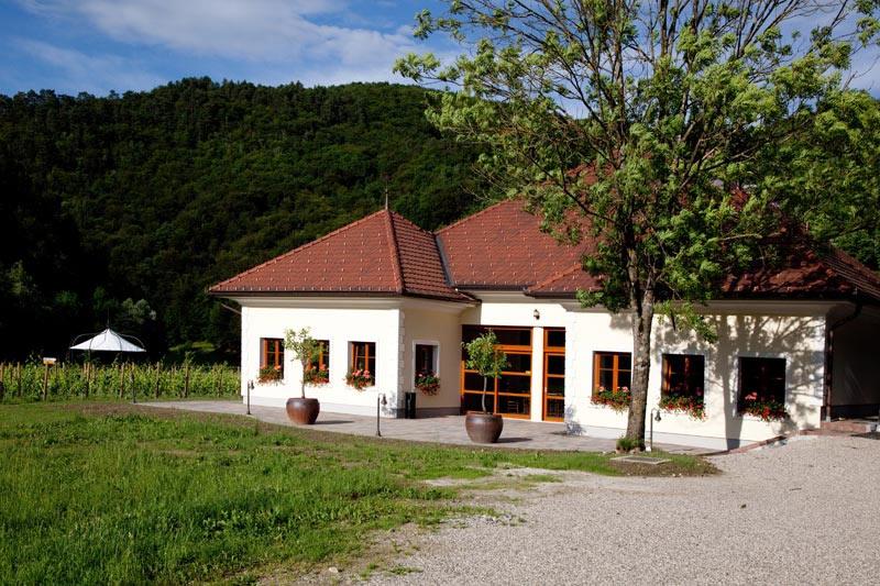 You are invited to the Mastnak and Frelih winery in Slovenia to excite your taste buds