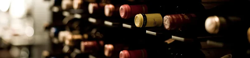 The top wines Slovenia