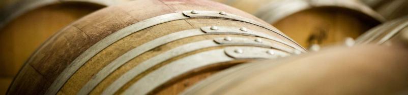 Best wines in Posavje, Slovenia