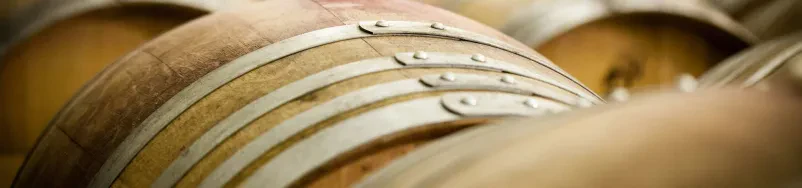 Best wines in Posavje, Slovenia