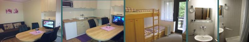 Ugoden najem apartmaja Rogla, okolica