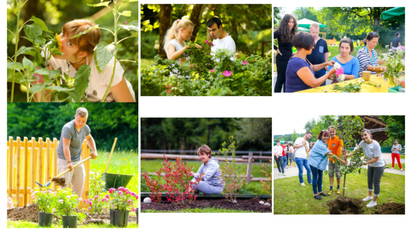 Izobraževanje odraslih z motnjo v duševnem razvoju Ljubljana