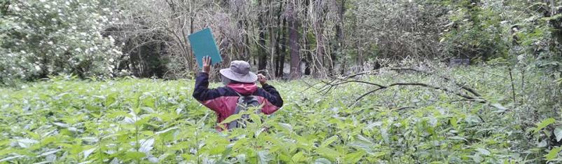 okoljska poročila maribor, štajerska, slovenija