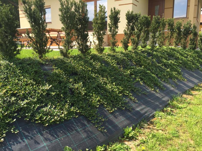 Pridelava rastlin Štajerska