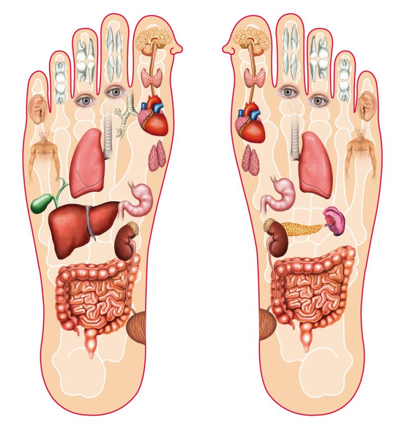 Refleksna masaža stopal Zreče, Savinjska