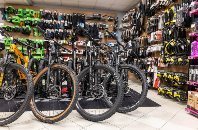 Servis koles Štajerska