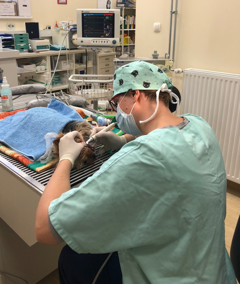 Veterinarska klinika Velenje, Šaleška