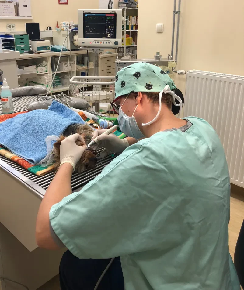 Veterinarska klinika Velenje, Šaleška