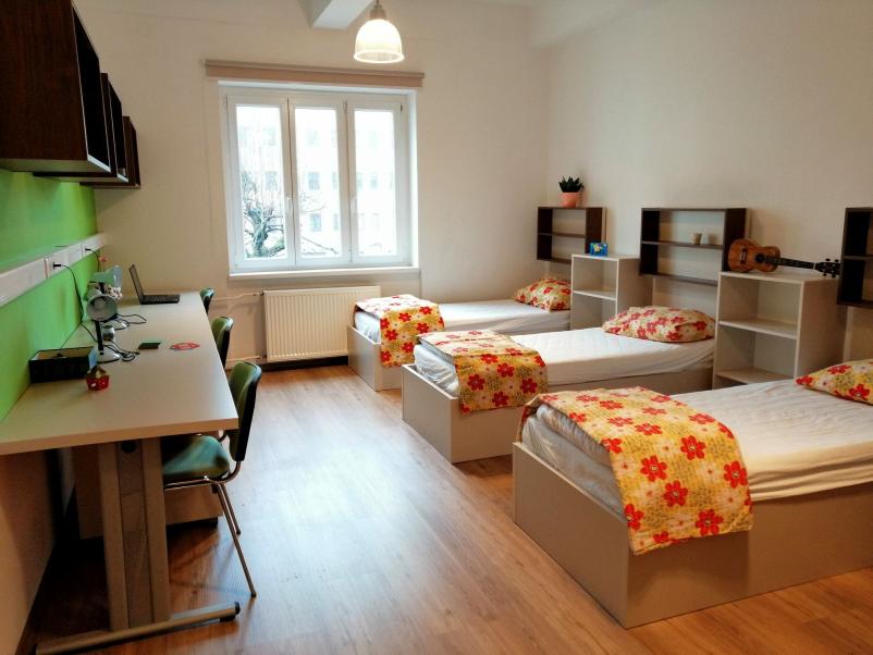 Vpis v dijaški dom Ljubljana, Tabor 