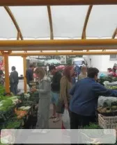 Vzdrževanje objektov Nova Gorica