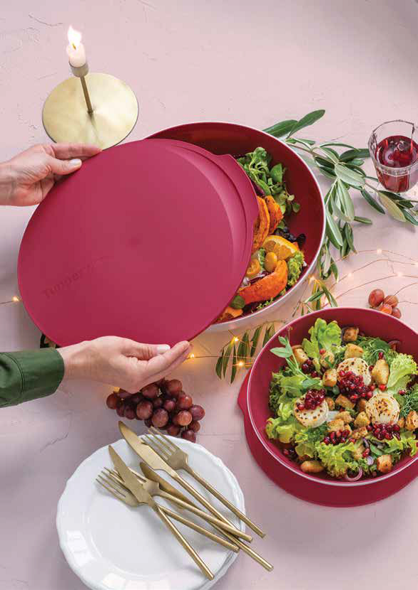 Tupperware posoda Osrednja Slovenija