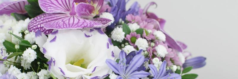 Vabljeni tudi v našo spletno cvetličarno