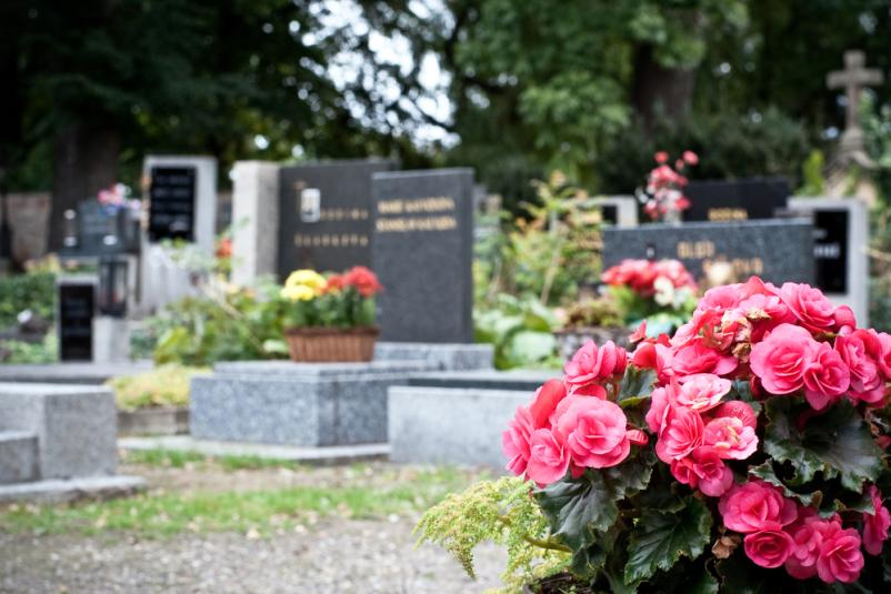 Podjetje, ki vzdržuje pokopališče na Gorenjskem