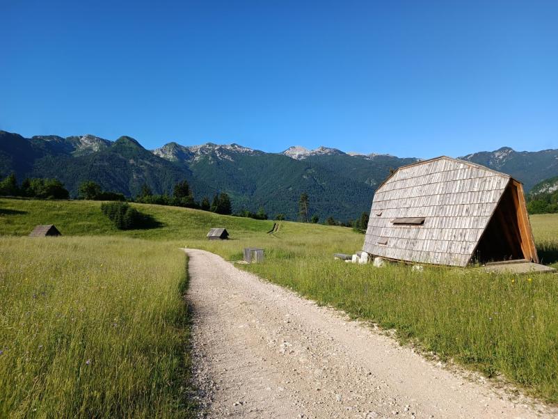 Looking to rent an apartment near Lake Bohinj? You're in the right place!