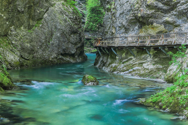 Vintgar shuttle from Bled