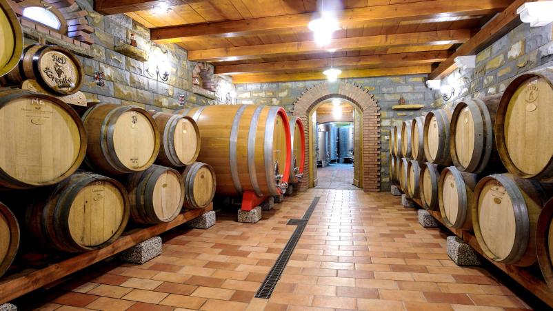Vrhunska vina Izola, Primorska