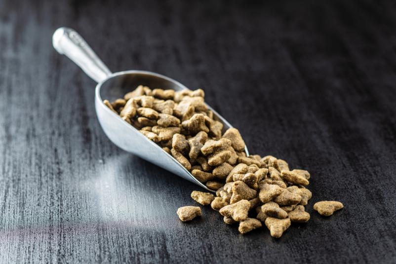 Hrana za živali Ljubljana