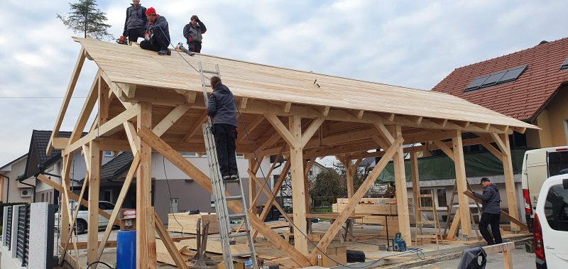 Skeletne konstrukcije Osrednja Slovenija