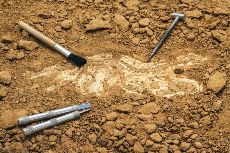 Kvalitetne arheološke raziskave Štajerska