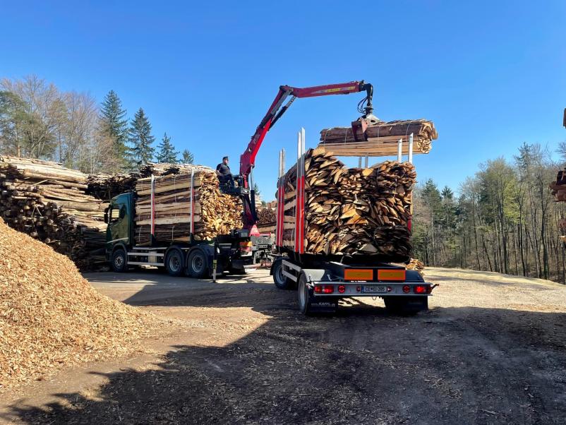 Odkup in prodaja lesa Savinjska