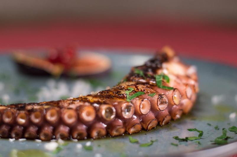 Odlične ribje jedi Novo mesto