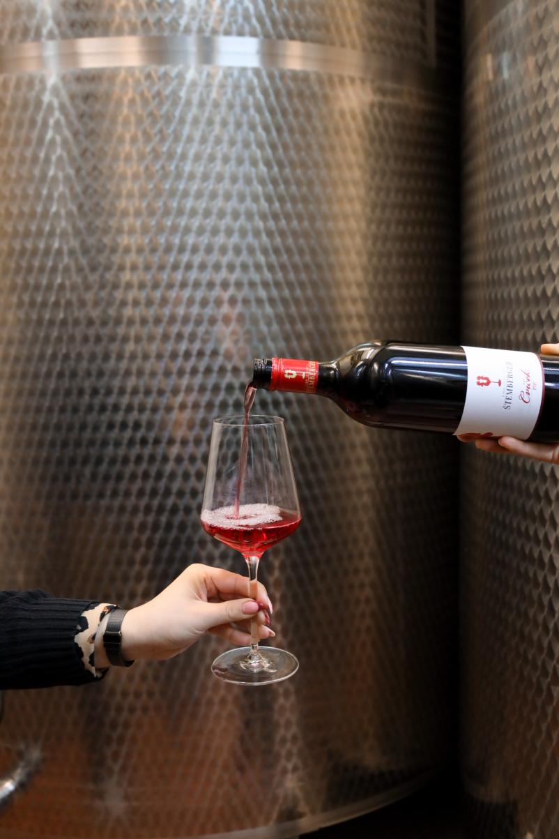 Vinska klet in degustacija vin Dolenjska