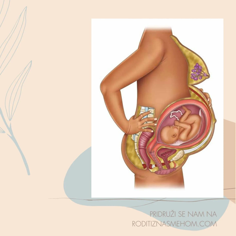 Priprava na porod in spremstvo v porodnišnici