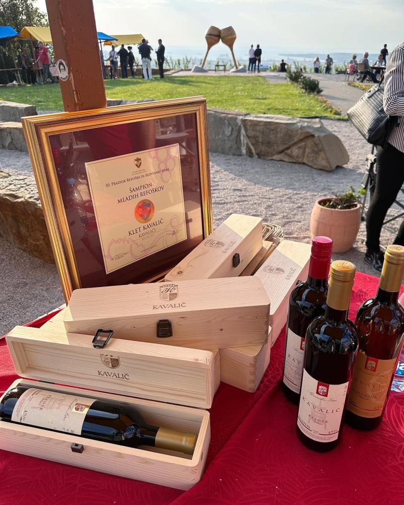 Prodaja domačega vina Pobegi