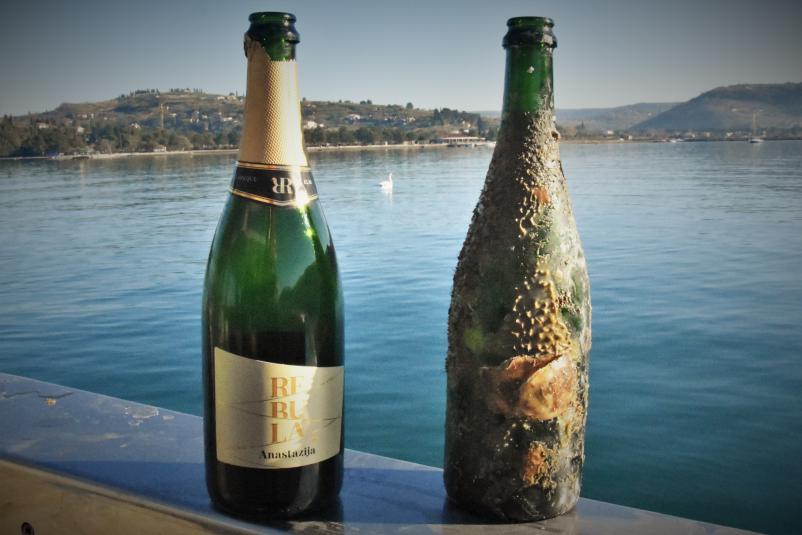 Dobro vino Primorska