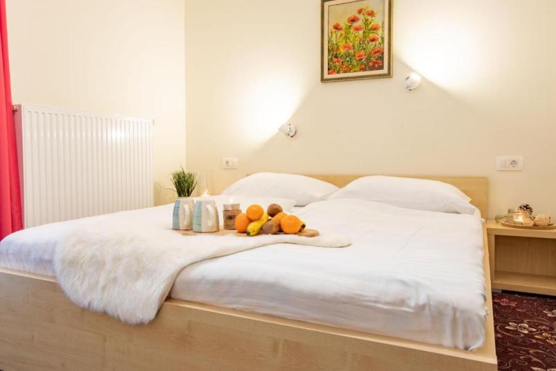 Slovenska Bistrica hotel