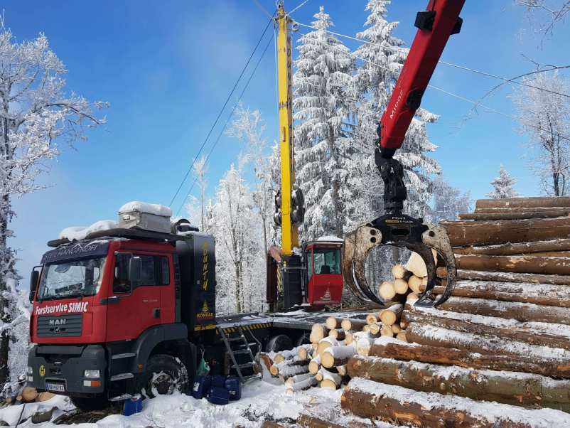 Ugodna trgovina z lesom Dolenjska