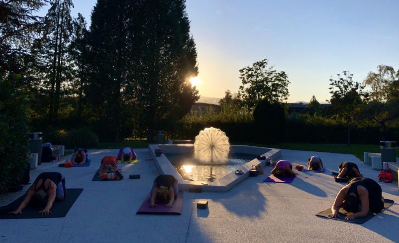 Pridružite se začetnim tečajem joge Velenje