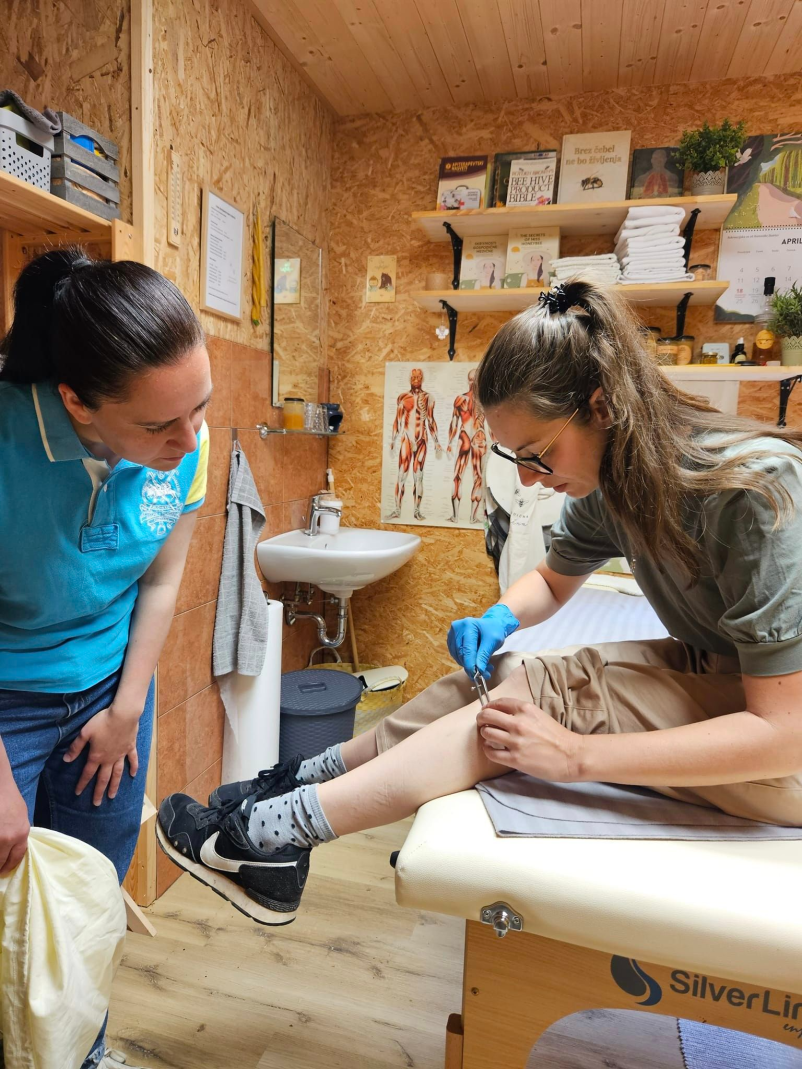 Apiterapija Domžale