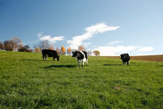 Kam na kmečki turizem
