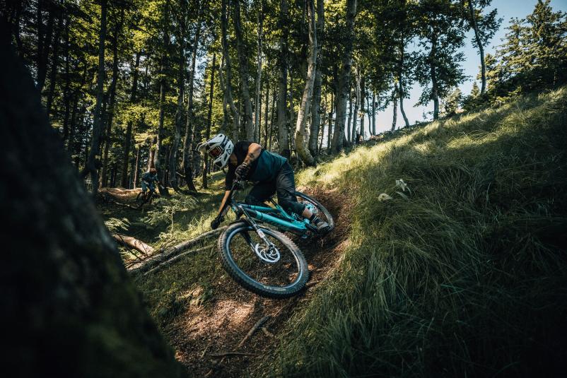 Kolesa Rocky Mountain Maribor