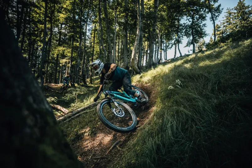 Kolesa Rocky Mountain Maribor