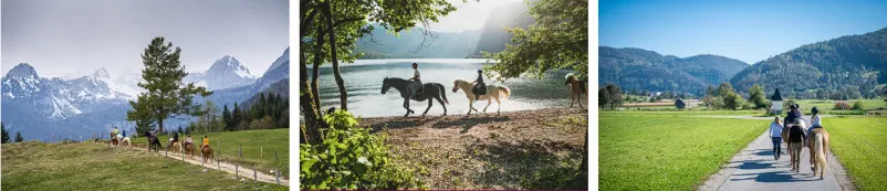 Geländereiten Bohinj
