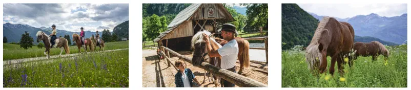 Pferde Reiten Bohinj