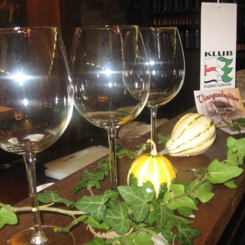 The best bottled wines in Slovenia