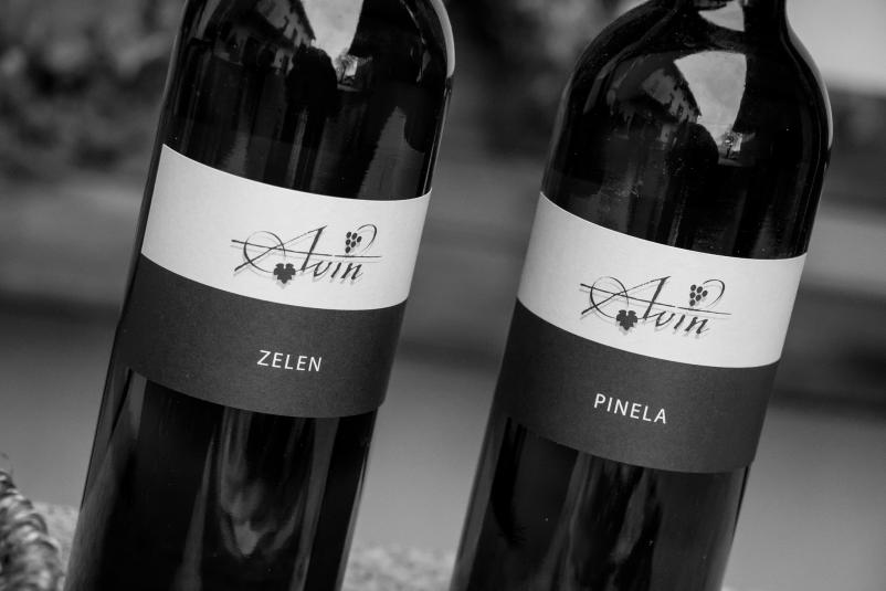 Kvalitetna vrhunska vina Primorska