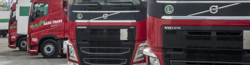 Mednarodni transport Primorska