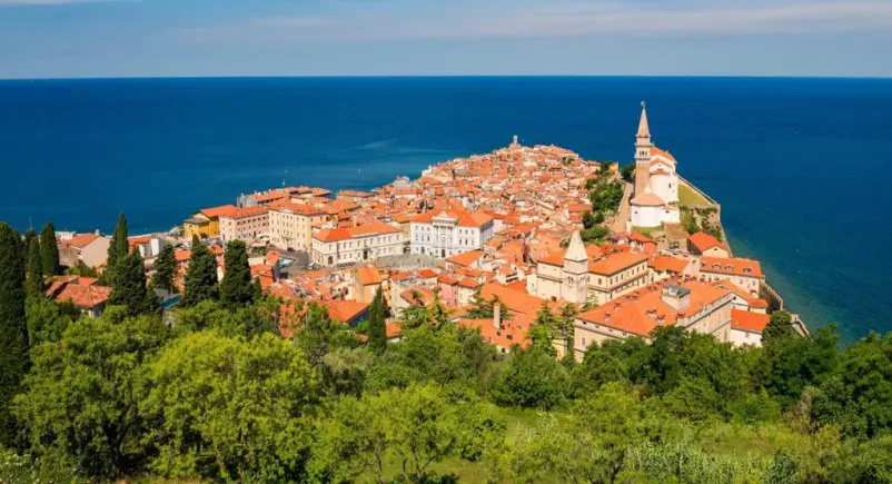 Priprava sveže ribe Piran